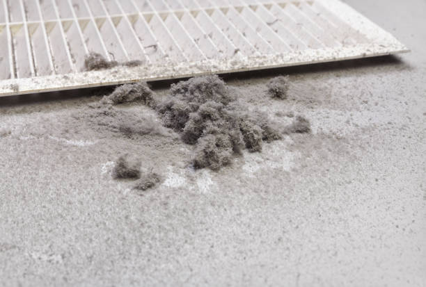 Best Affordable HVAC Duct Cleaning  in Highland City, FL